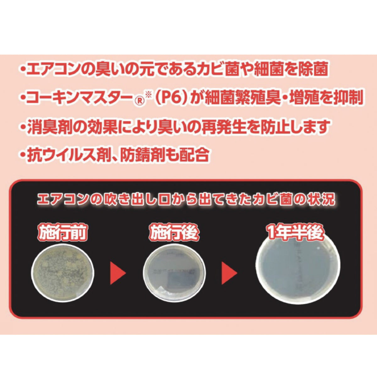 カーエアコンクリーナー NX203 ミストタイプ |カーエアコン内部洗浄用 イチネンケミカルズ