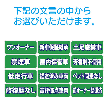 吸着ポップ_ペッタリンW300　履歴・条件など