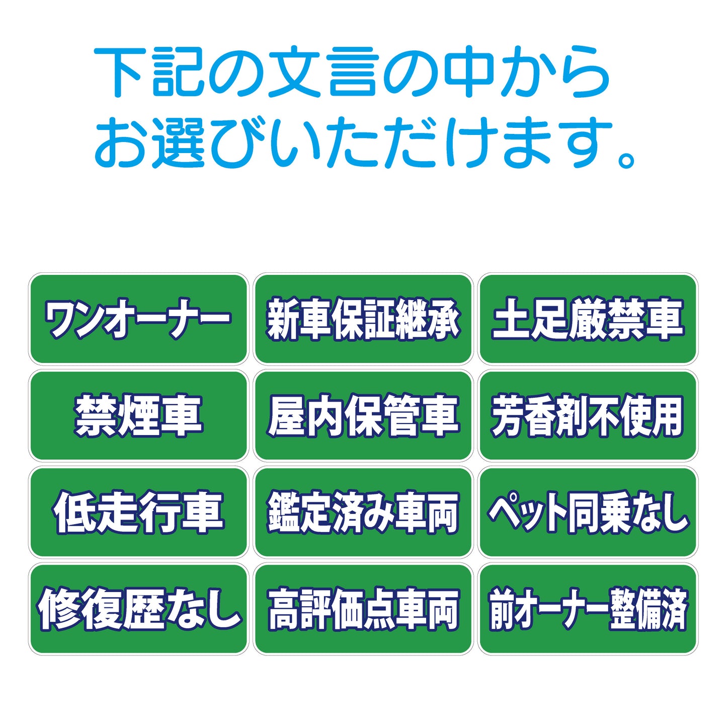 吸着ポップ_ペッタリンW300　履歴・条件など