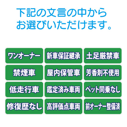 吸着ポップ_ペッタリンW300　履歴・条件など