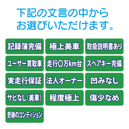 吸着ポップ_ペッタリンW300　履歴・条件など