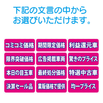 吸着ポップ_ペッタリンW300　セール内容