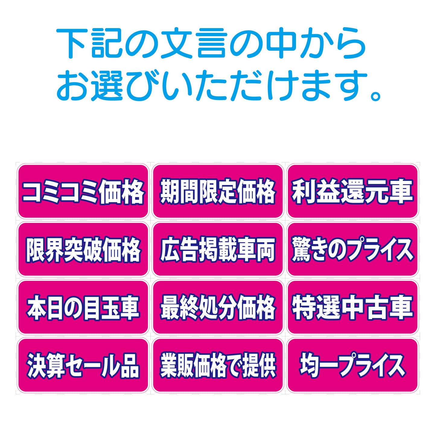 吸着ポップ_ペッタリンW300　セール内容