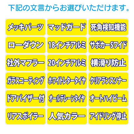 吸着ポップ_ペッタリンW300　装備など