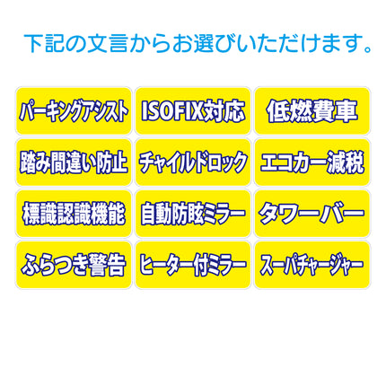 吸着ポップ_ペッタリンW300　装備など