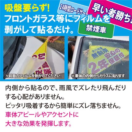 吸着ポップ_ペッタリンW300　履歴・条件など