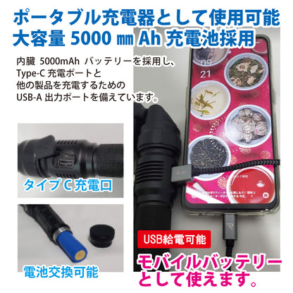 高耐久多用途作業灯ZFブライト ワークライト トーチライト