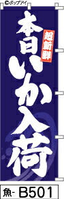 ふでのぼり 超新鮮 本日いか入荷-紺(魚-b501)幟 ノボリ 旗 筆書体を使用した一味違ったのぼり旗がお買得【送料込み】まとめ買いで格安