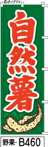 ふでのぼり 自然薯-緑-赤文字(野果-b460)幟 ノボリ 旗 筆書体を使用した一味違ったのぼり旗がお買得【送料込み】まとめ買いで格安